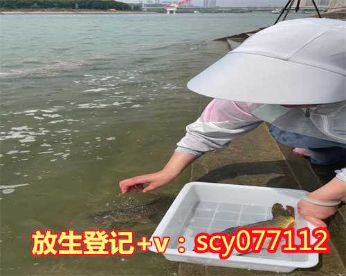 深圳东锦龟放生，东锦龟放生，带籽的螃蟹为什么放生