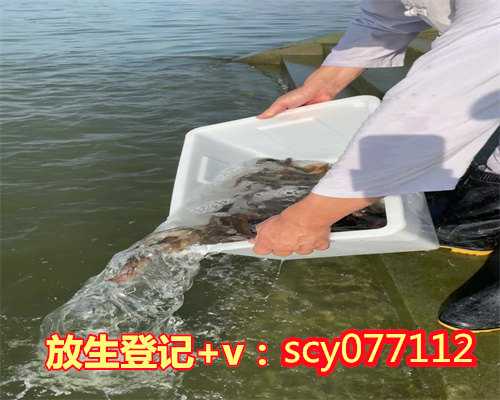 扬州陆龟在哪放生，扬州哪里放生石螺，扬州放生护生图片