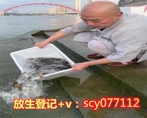 柳州如何买鱼放生,柳州公园放生河蚌,柳州7月放生的日子