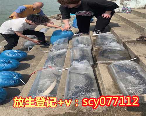 南京适合放生的河，南京渔民捕获1米多长“胭脂鱼王”已就地放生