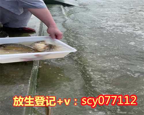 黑龙江在哪能放生草龟，官方通报黑龙江聚集性疫情：持续时间长，感染病例多