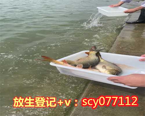 潍坊放生大鲤鱼,潍坊哪里放生乌龟最合适,放生回向给刚去世的亲人