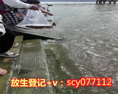 杭州适合放生的鱼类是什么，杭州灵隐寺举行戊戌年新春放生祈福法会