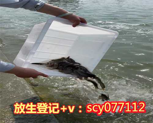 漳州放生鸟类，漳州放生红鲤鱼的果报，漳州刺猬养着好还是放生好