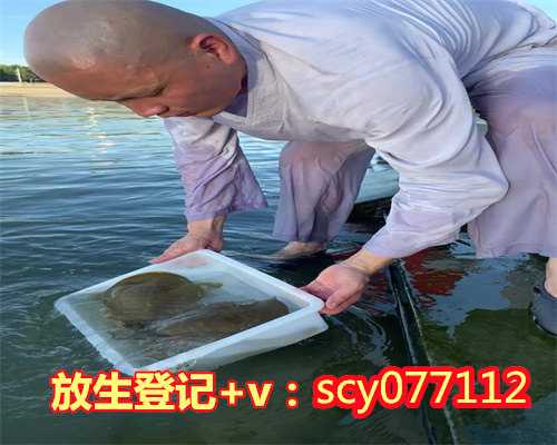 潮州放生表文打法，潮州哪个公园能放生虾啊，潮州放生鱼